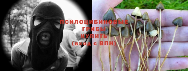 стафф Арсеньев