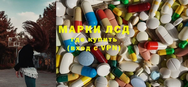 стафф Арсеньев