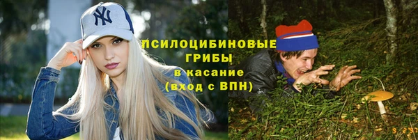 стафф Арсеньев