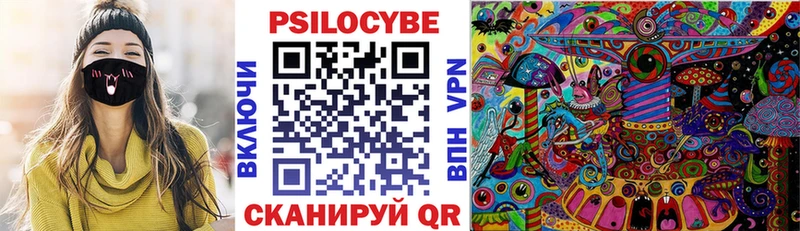 OMG сайт  Дорогобуж  Псилоцибиновые грибы GOLDEN TEACHER 